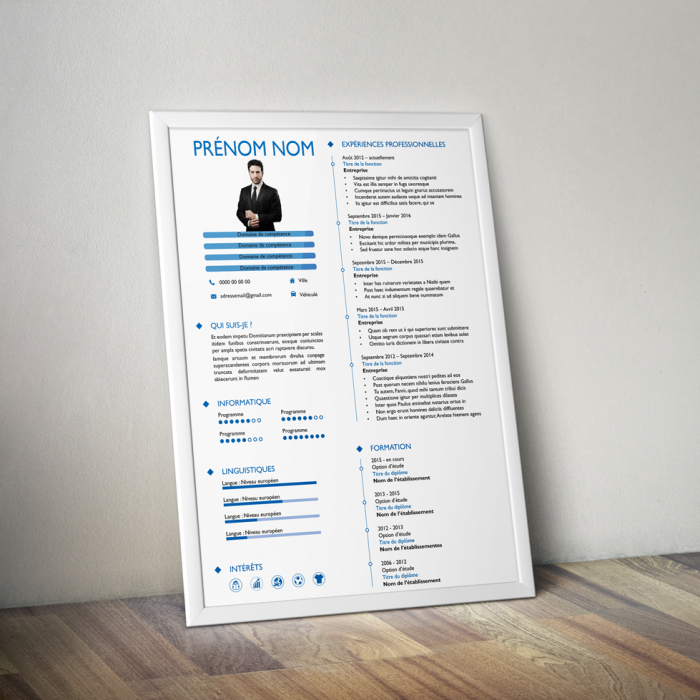 CV Elegant CV Elegant